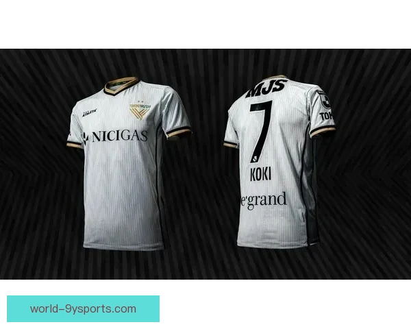 斯托克城俱乐部百年沉浮与英伦足球精神传承之路探秘传奇与未来愿景