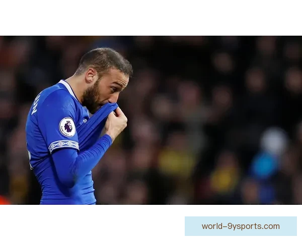 纽卡斯尔联俱乐部崛起之路与英超荣耀梦想全景解析历史与未来展望